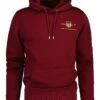 Gant Hoodie In Bordeaux