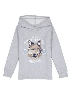 Hoodie In Grau