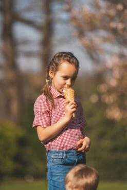Trachtenhemd Slamo In Mittelrot -Modebekleidungs Geschäft os trachten trachtenhemd slamo in mittelrot 3